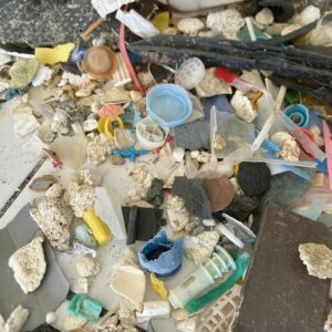 Eco-délégués 6