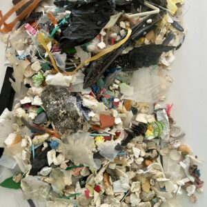 Eco-délégués 7