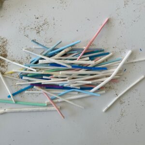 Eco-délégués 8