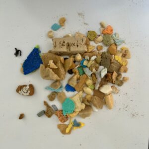 Eco-délégués 9