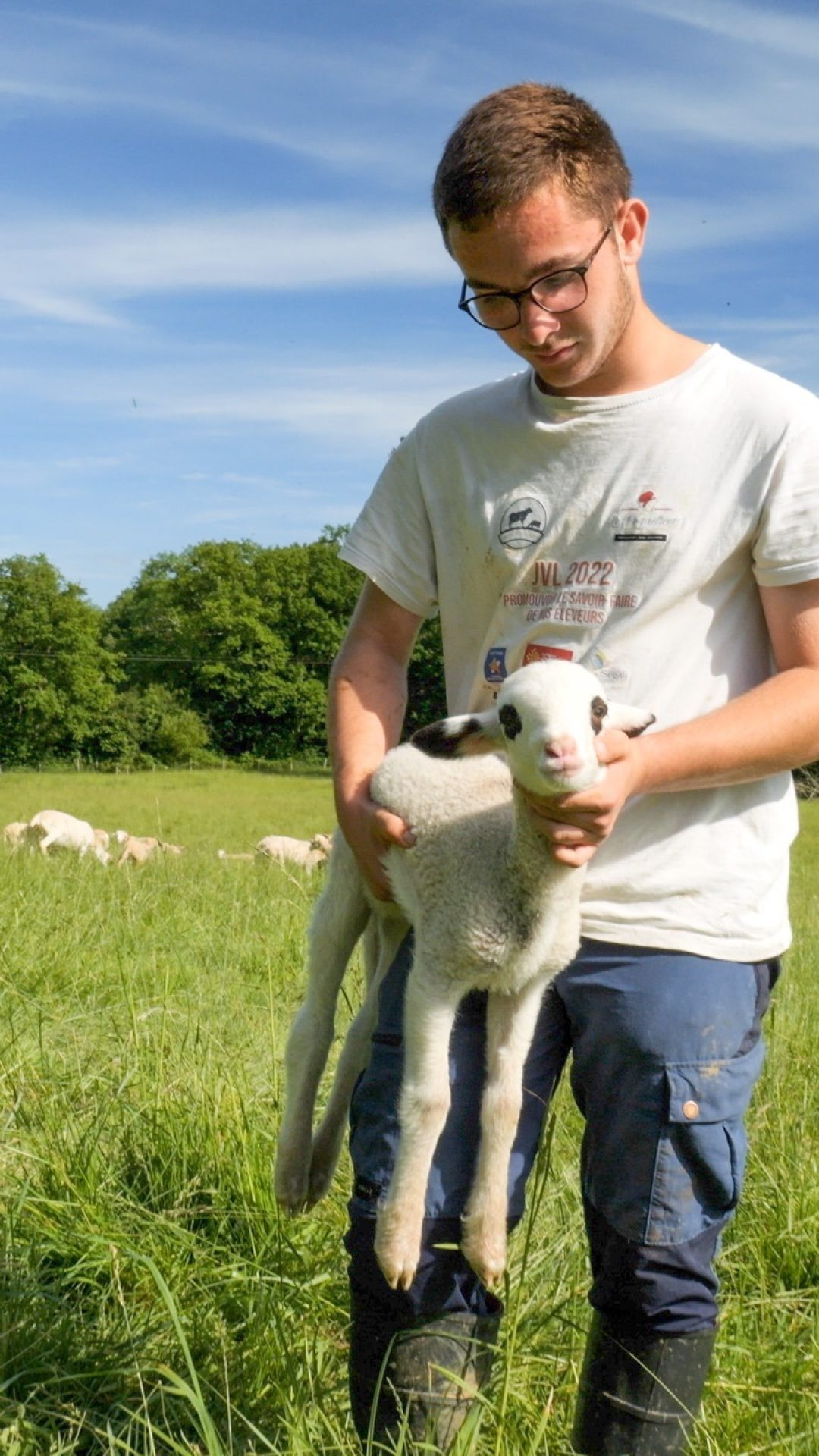 Ovin Viande